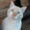 herman meier - @herman.meier7 - TikTok