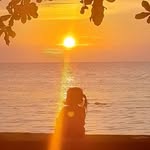 Herman Pacelli - @pacelliherman - Instagram
