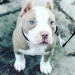 Herman Paul - @herma.npaul - Instagram