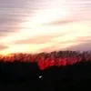 Герман Епав - @hermanepav - TikTok