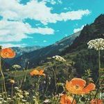 Kim Perry 206 - @hermanperkins_938072 - Instagram