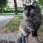 Herman de Poes - @hermandepoes_ - Instagram