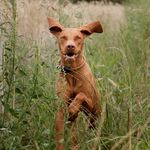 Hermann Quick - @hermannquick - Instagram