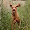 hermannquick - @hermannquick - TikTok