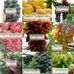 Herman Rawe - Facebook