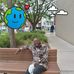 Herman Simms - Facebook