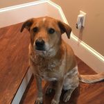 Tucker Herman Jones - @tucker_herman - Instagram