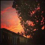 @herman_walker - Instagram