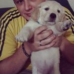 Herman Wiggins - @phenetec - Instagram