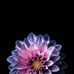 Herman Wilson - Facebook