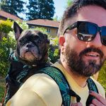 🌟Herman + Winston 🌟 - @browndogmagic - Instagram