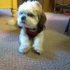 Winston Sherman - @winston.sherman - TikTok