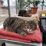 Hermann Winter - @hermann.winter.566 - Instagram