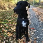 Hermann Winter - @hermann.winter.1441 - Instagram