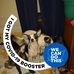 Herman Wyatt - Facebook