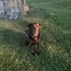 wyatt herman - @wyatt.herman - TikTok