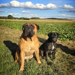 ʜᴇʀᴍᴀɴɴ & ᴋᴀʀʟ-ʜᴇɪɴᴢ 🐾 - @hermann_und_karlheinz - Instagram