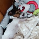 Hermann Karl Pöltl - @mundl07 - Instagram