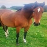 Hermann Weber - @hermannweber2 - Instagram