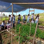 Jovenes Hermes Martínez aportando a la transformación ambiental - @hermesmartinez2024 - Instagram