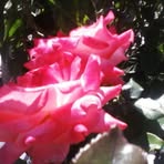 Herminia Landeros - Facebook