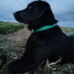 Herminio Cabrera Hervas - @hervasherminiocabrera - Instagram