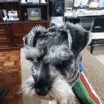 Hernan Arias Arce - Facebook