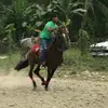 Hernan cruz - @hernan.cruz355 - TikTok