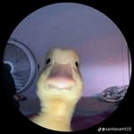 Hernan Escalante - @benja0_0zzz - Instagram