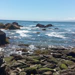 Hernan Fierro - @osvaldohernanfierrolopez253 - Instagram