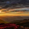 Hernan Garces - @hernan.garces86 - TikTok