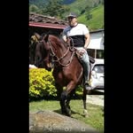 hernan londono - @hernanlo3333 - Instagram