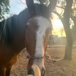 Hernán Mujica - @mujica9680 - Instagram