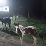 Hernan Mujica - @mujica3022 - Instagram