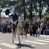 hernanrios4963 - @hernanrios4963 - TikTok