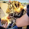 Hernan Rubio178 - @hernanrubio178 - TikTok