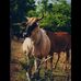 Hernan Tapia - Facebook