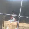 hernantapia830 - @hernantapia830 - TikTok