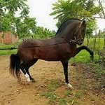 Hernan Trujillo - @hernantrujillo74 - Instagram
