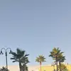 Hernan Vazquez - @hernanvazquez533 - TikTok