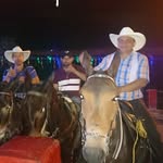Hernando Casas - @venta_caballos_y_mulares - Instagram