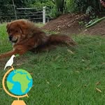 Luis Hernando Moreno Macías - @luishernandomorenomacias - Instagram