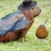 Hernando Perez - Facebook