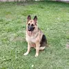 Hernando Quintero - @hernando.quintero2 - TikTok