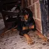 Hernando Romero - @hernando.romero00 - TikTok