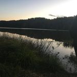 Heron Johnson - @notorioushane - Instagram