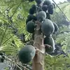 Heron Ramirez - @heron.ramirez4 - TikTok
