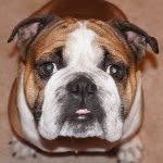 Herschel Walker - @herschel_walker - Instagram