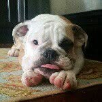 Herschel Walker - @herschelwalker_thedawg - Instagram