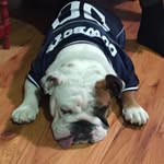 Herschel Walker Huff - @herschelwalkerhuff - Instagram